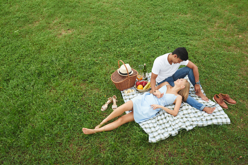 Picnic in the Park